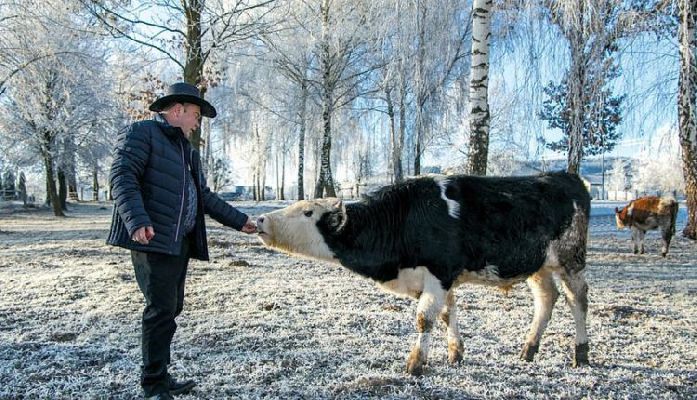 COVID змусив туристичні ферми України переорієнтуватися на формат продажу продуктів