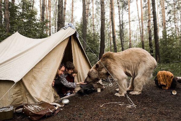 Тікати чи завмерти. Поради мандрівникам у місця, де живуть ведмеді від WWF-Україна