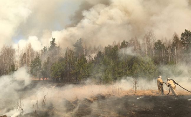 Верховна Рада України у 18 разів збільшила штрафи для паліїв сухої трави